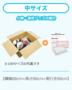 中サイズ